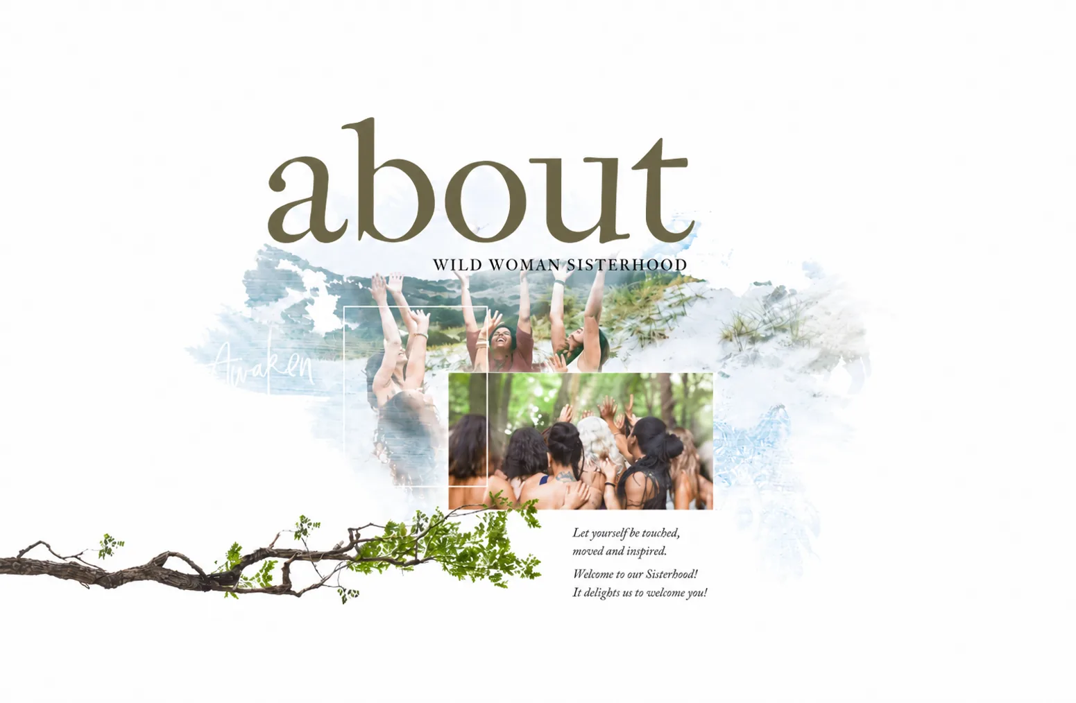 About Wild Woman Sisterhood — women gathered with raised arms, a flowering branch, and the words: Let yourself be touched, moved and inspired. Welcome to our Sisterhood!